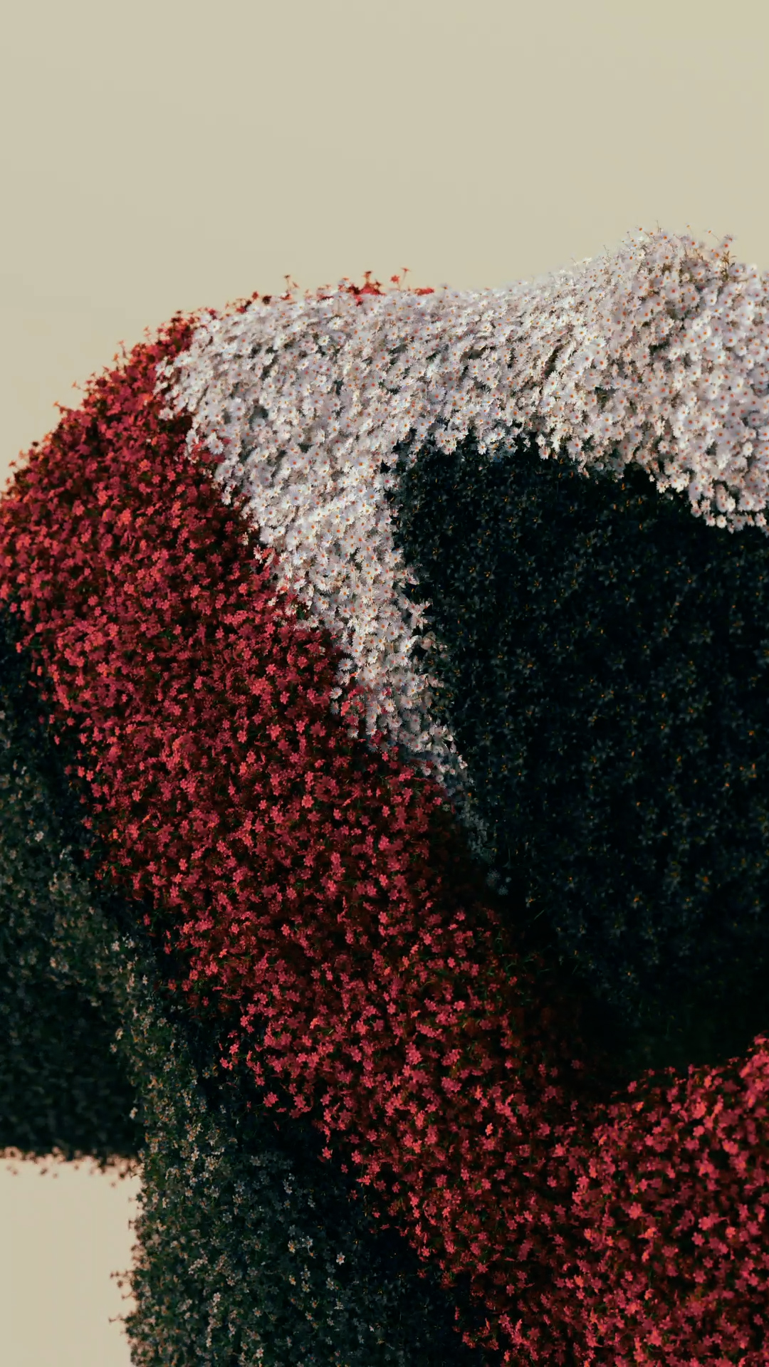 Prada — video 1 frame 2