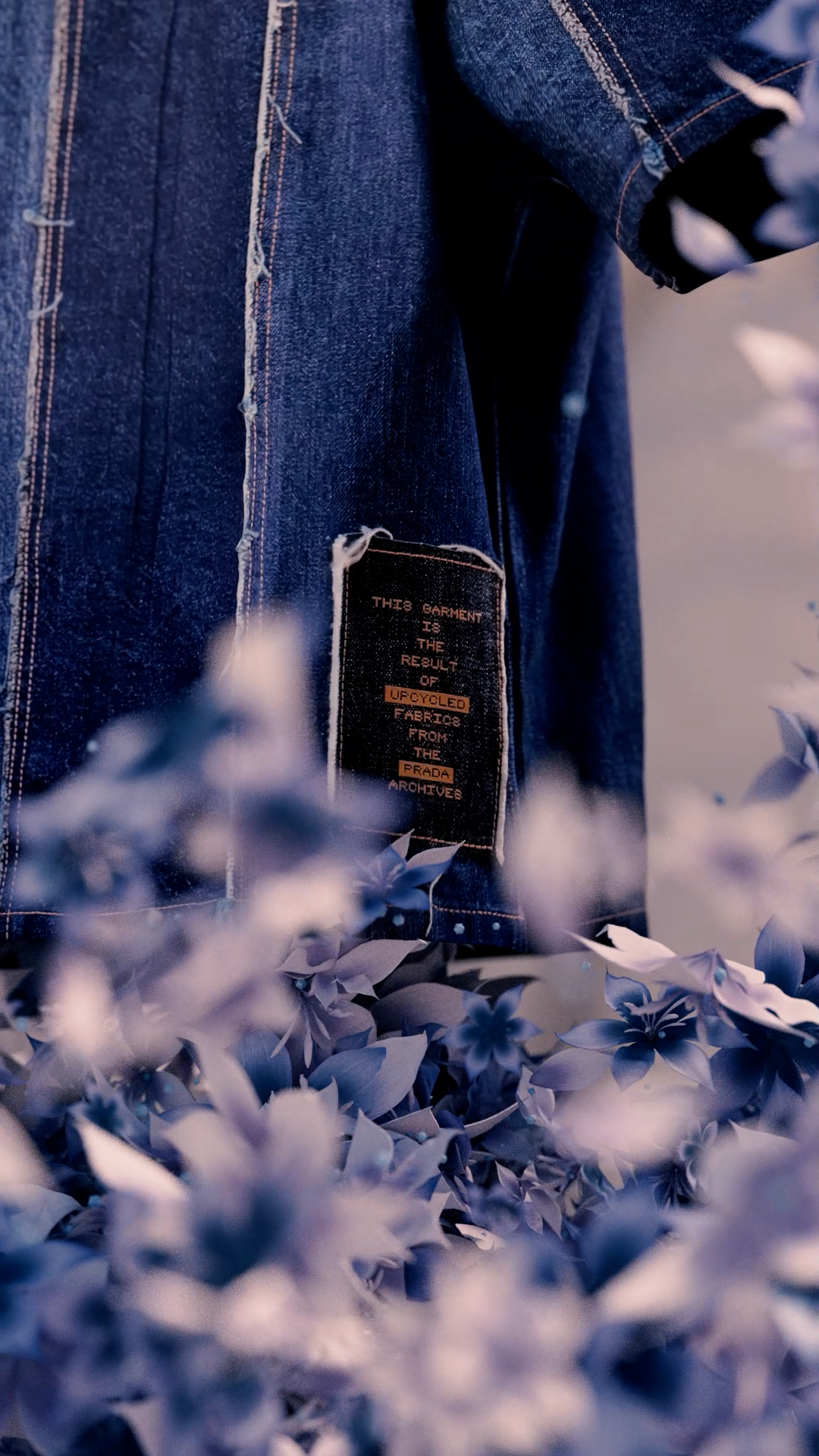 Prada — video 1 frame 8