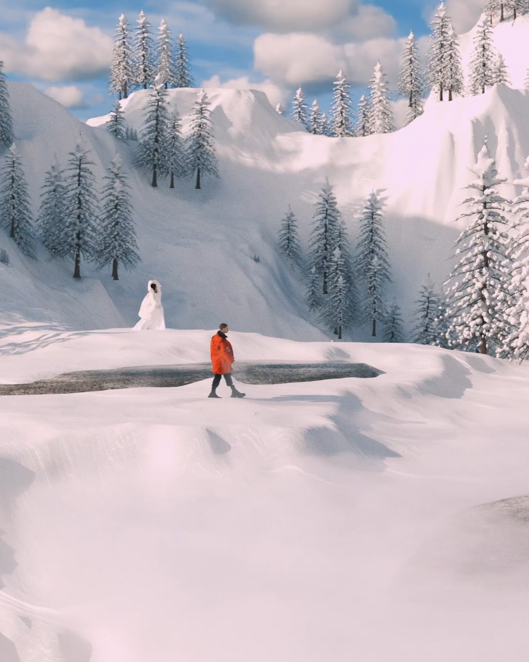 Canada Goose — video 1 frame 1