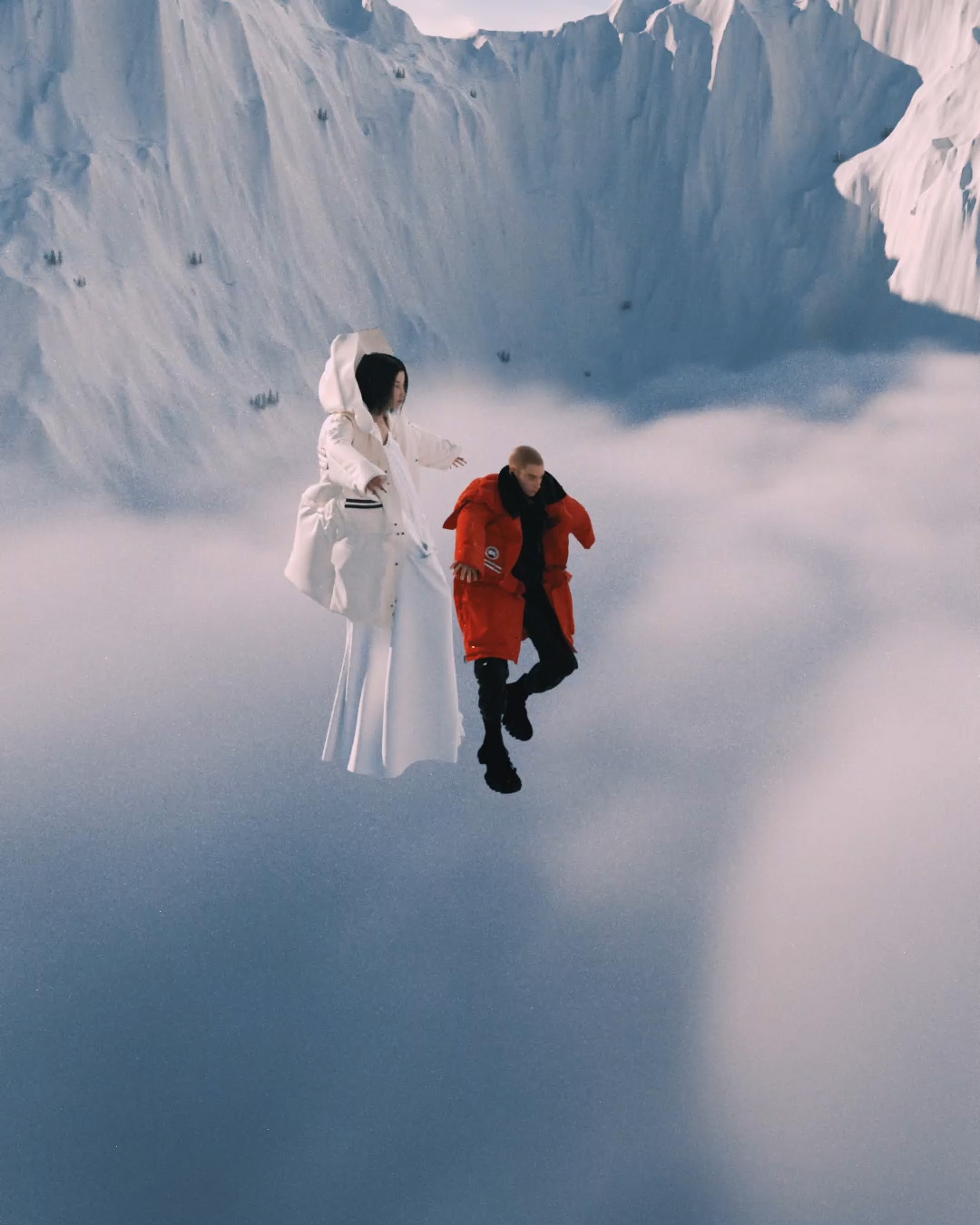 Canada Goose — video 1 frame 2