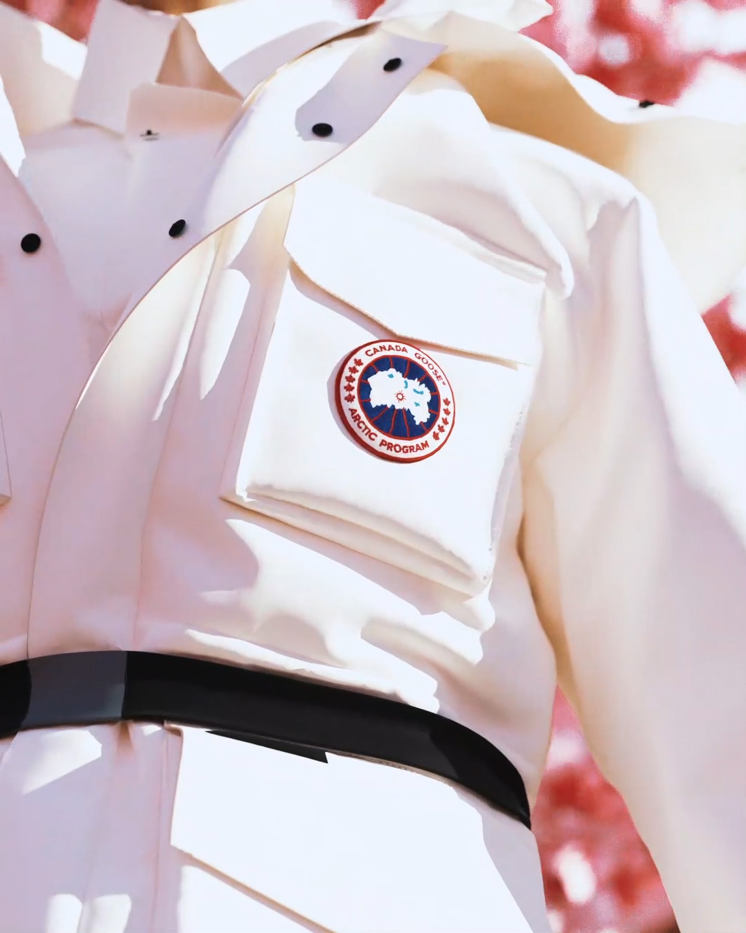Canada Goose — video 1 frame 4