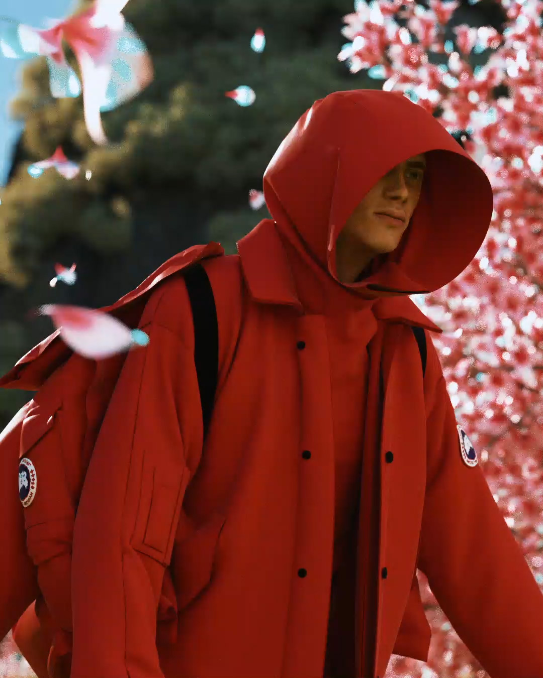Canada Goose — video 1 frame 6