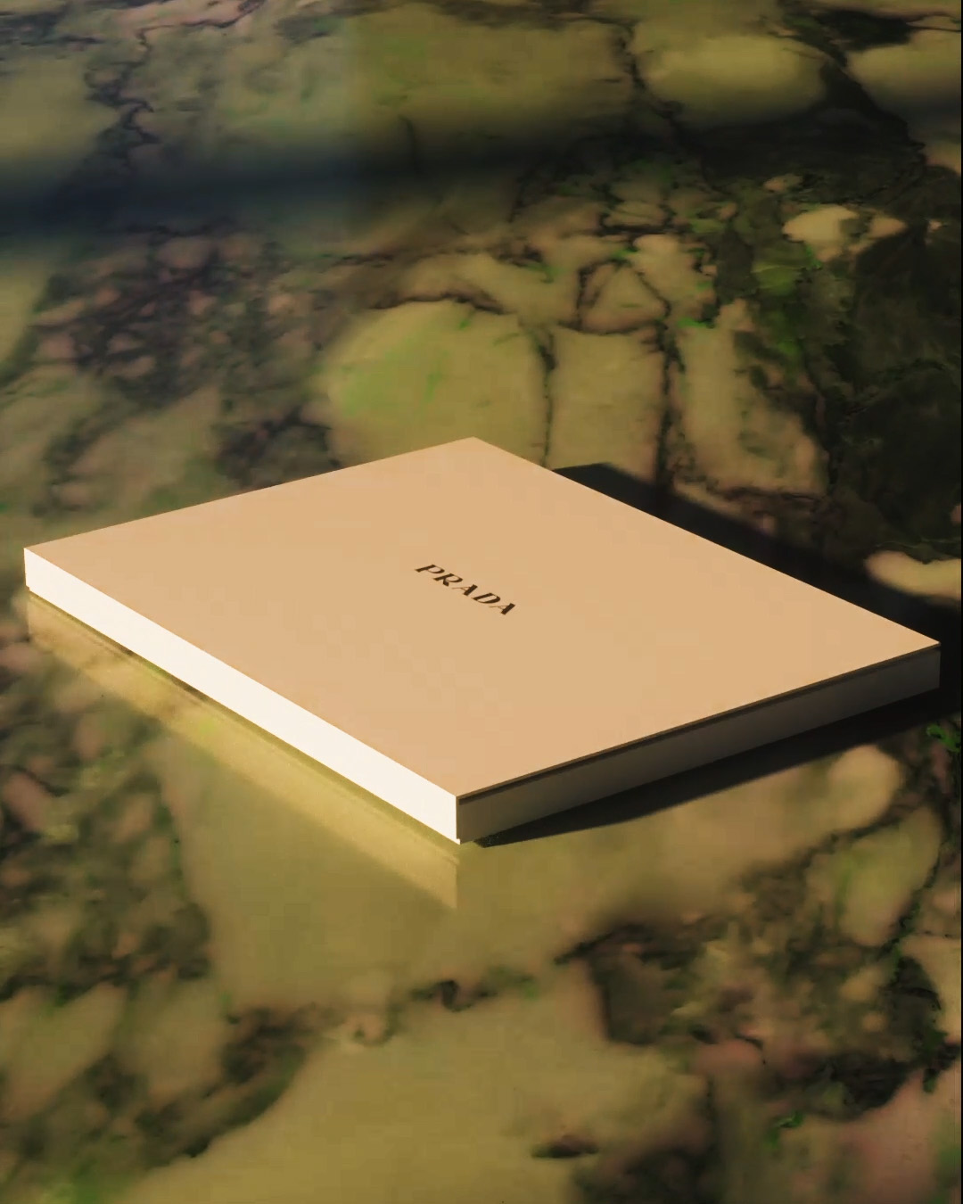 Prada — video 1 frame 6