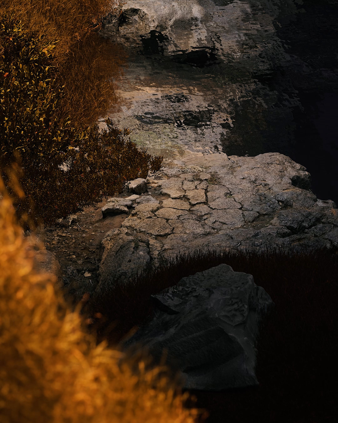 Look Development 04 — video 1 frame 1