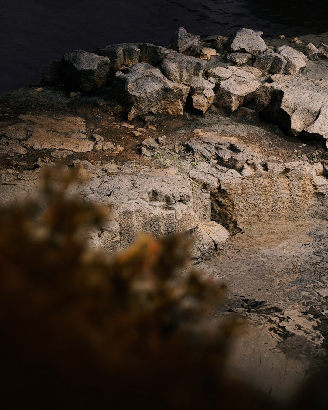Look Development 04 — video 1 frame 2