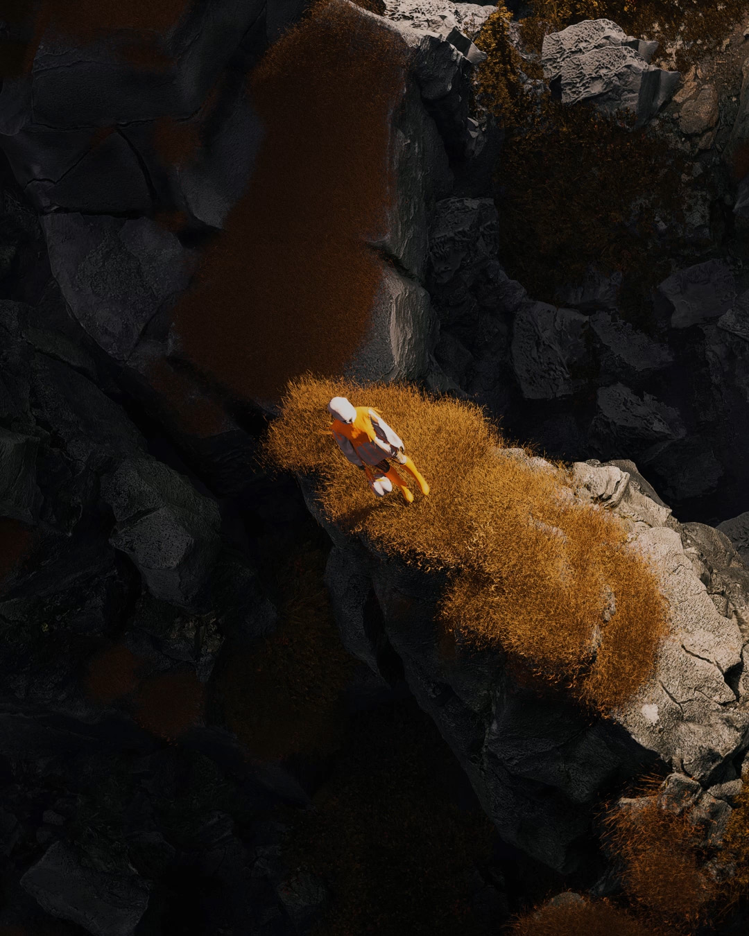 Look Development 04 — video 1 frame 5