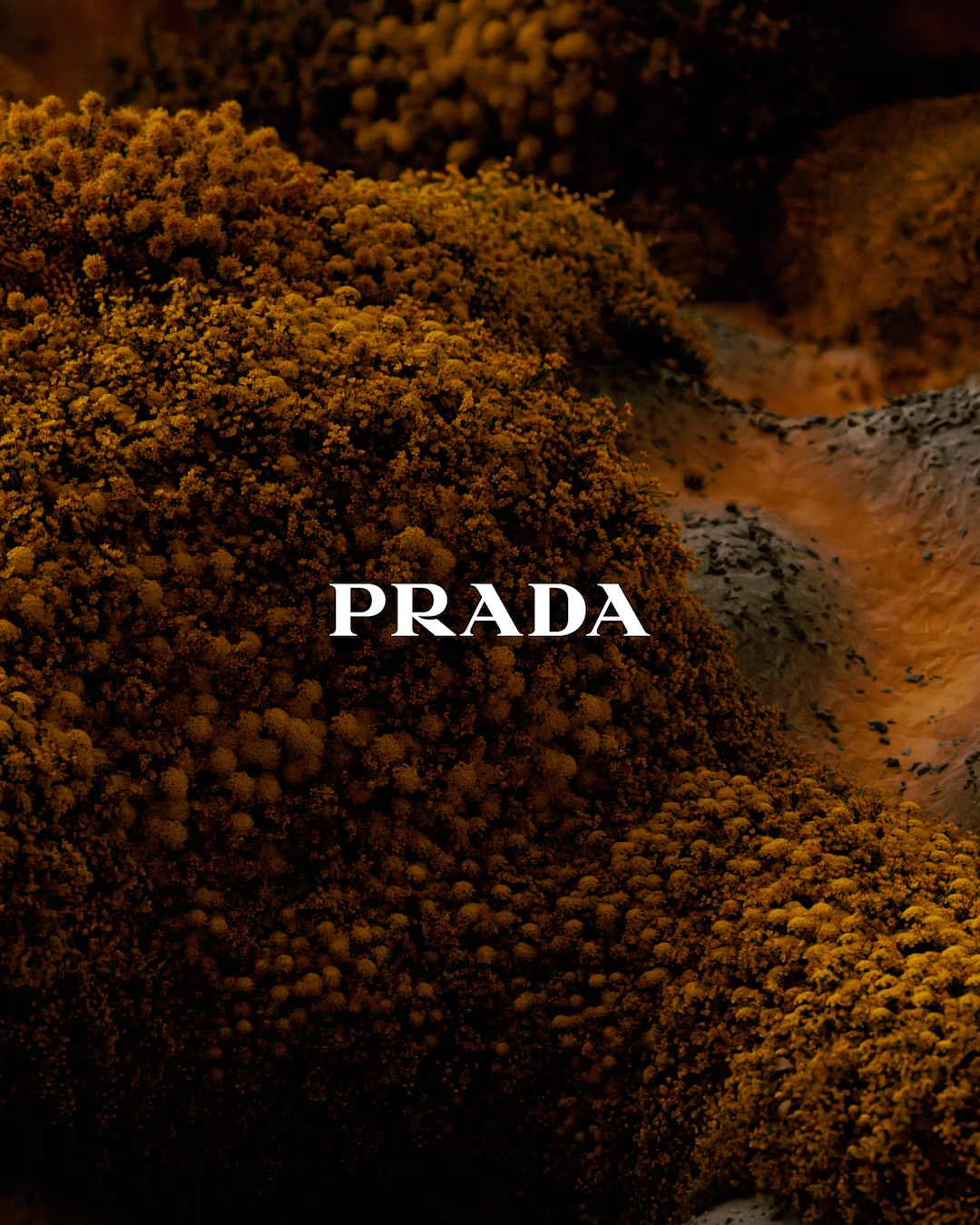 Prada — video 1 frame 1