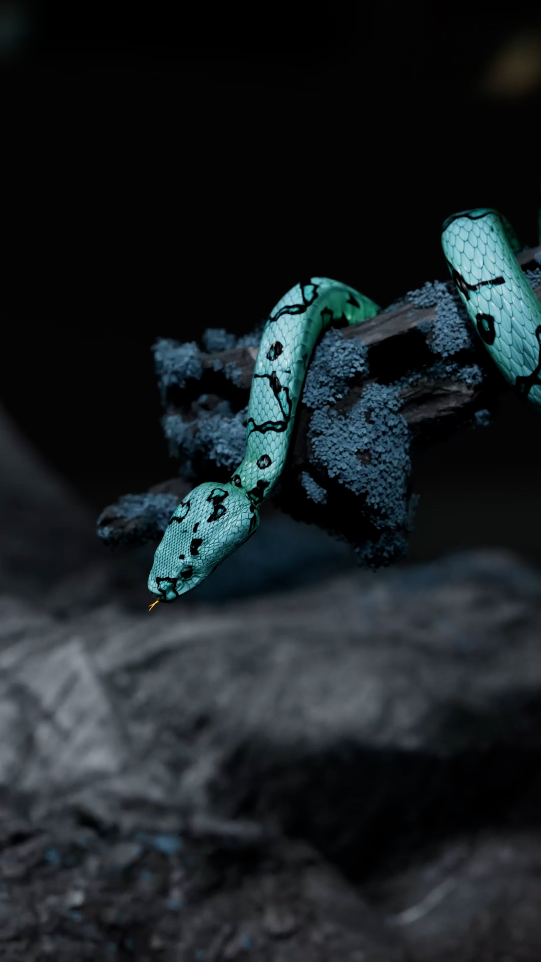 Prada — video 1 frame 4