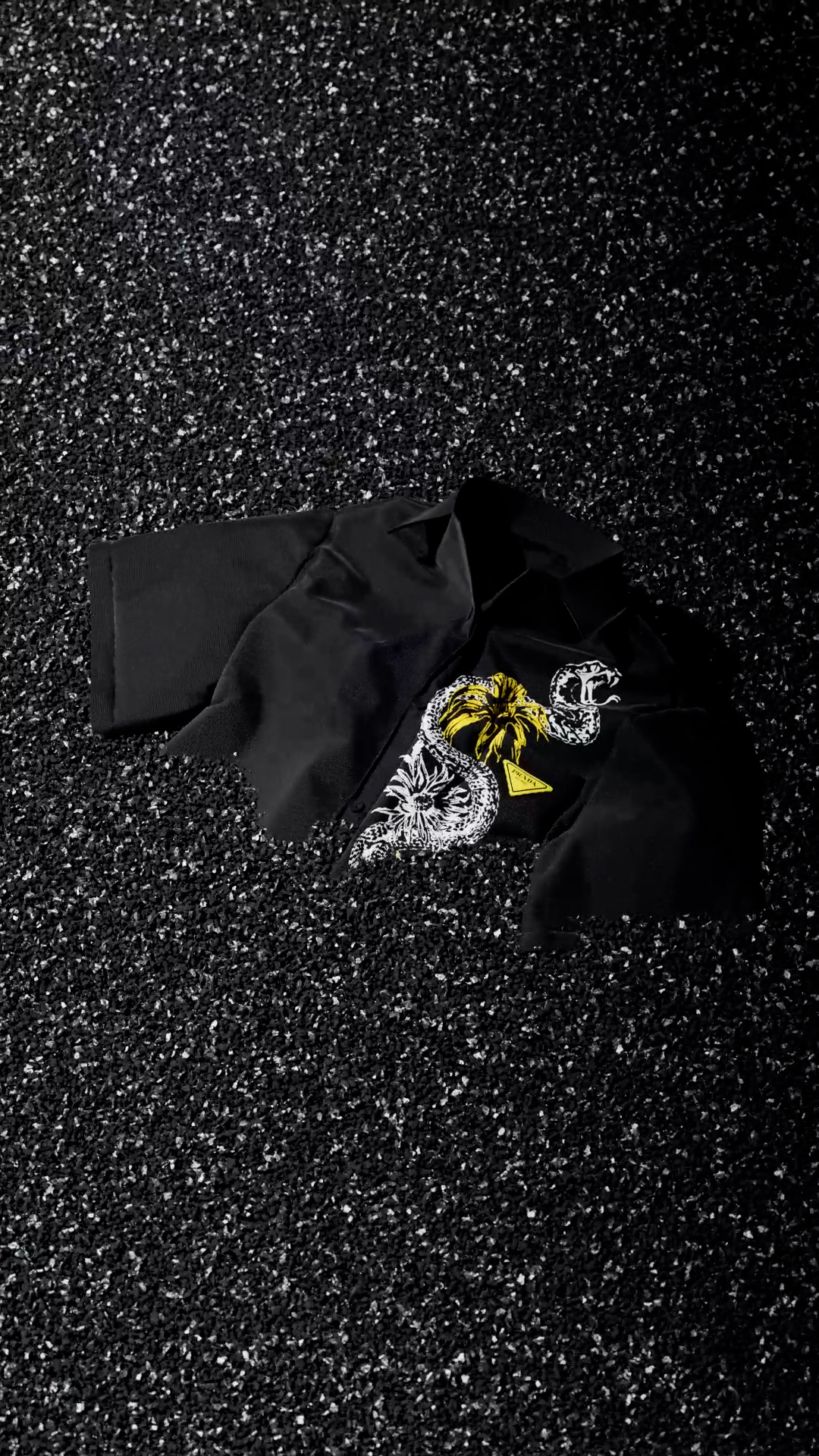 Prada — video 1 frame 5