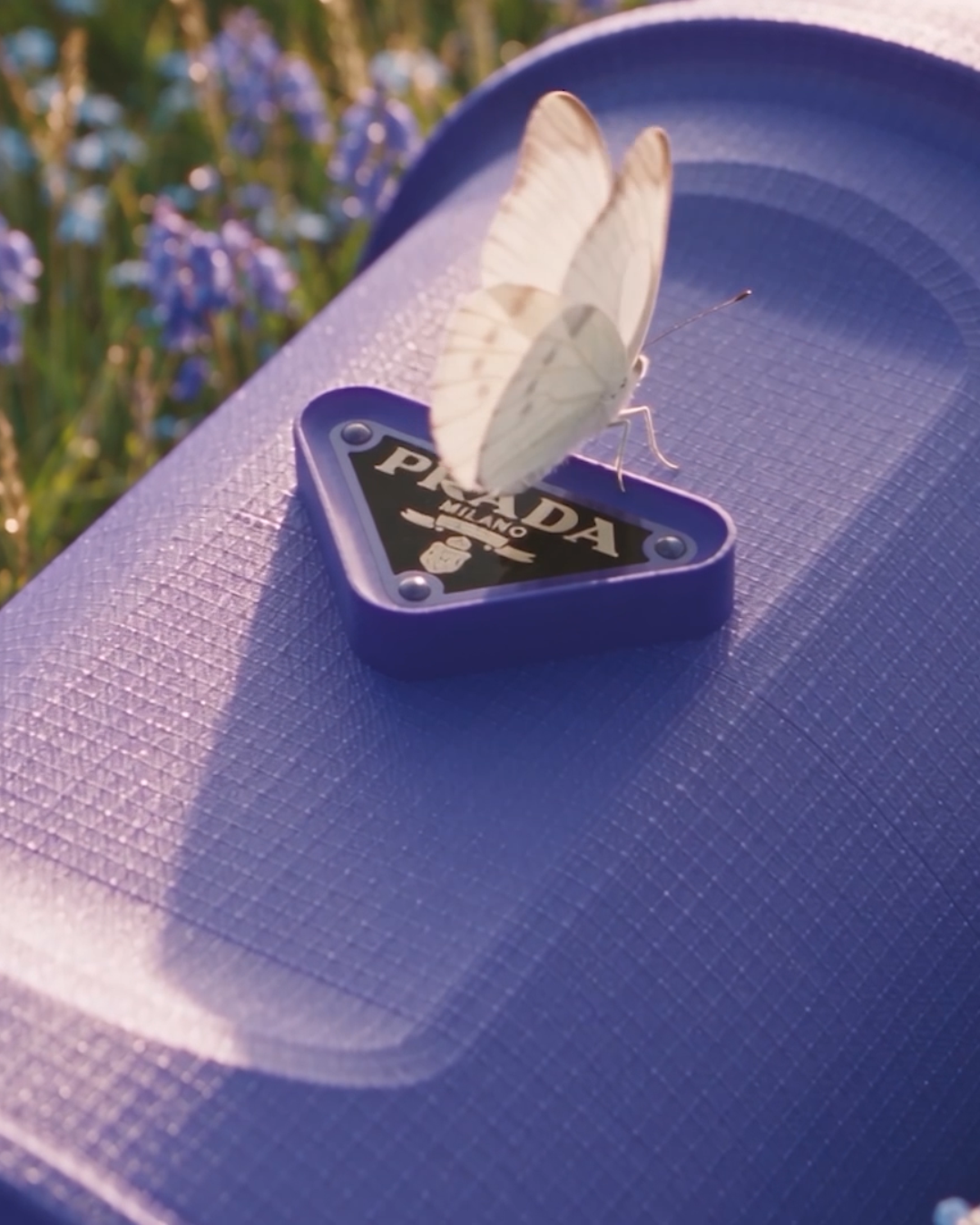 Prada — video 1 frame 2