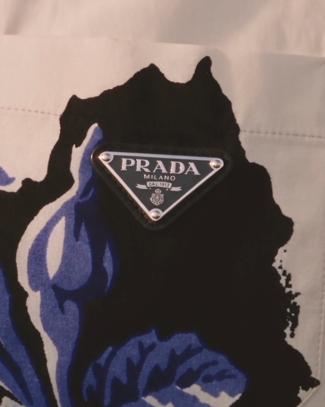 Prada — video 1 frame 8