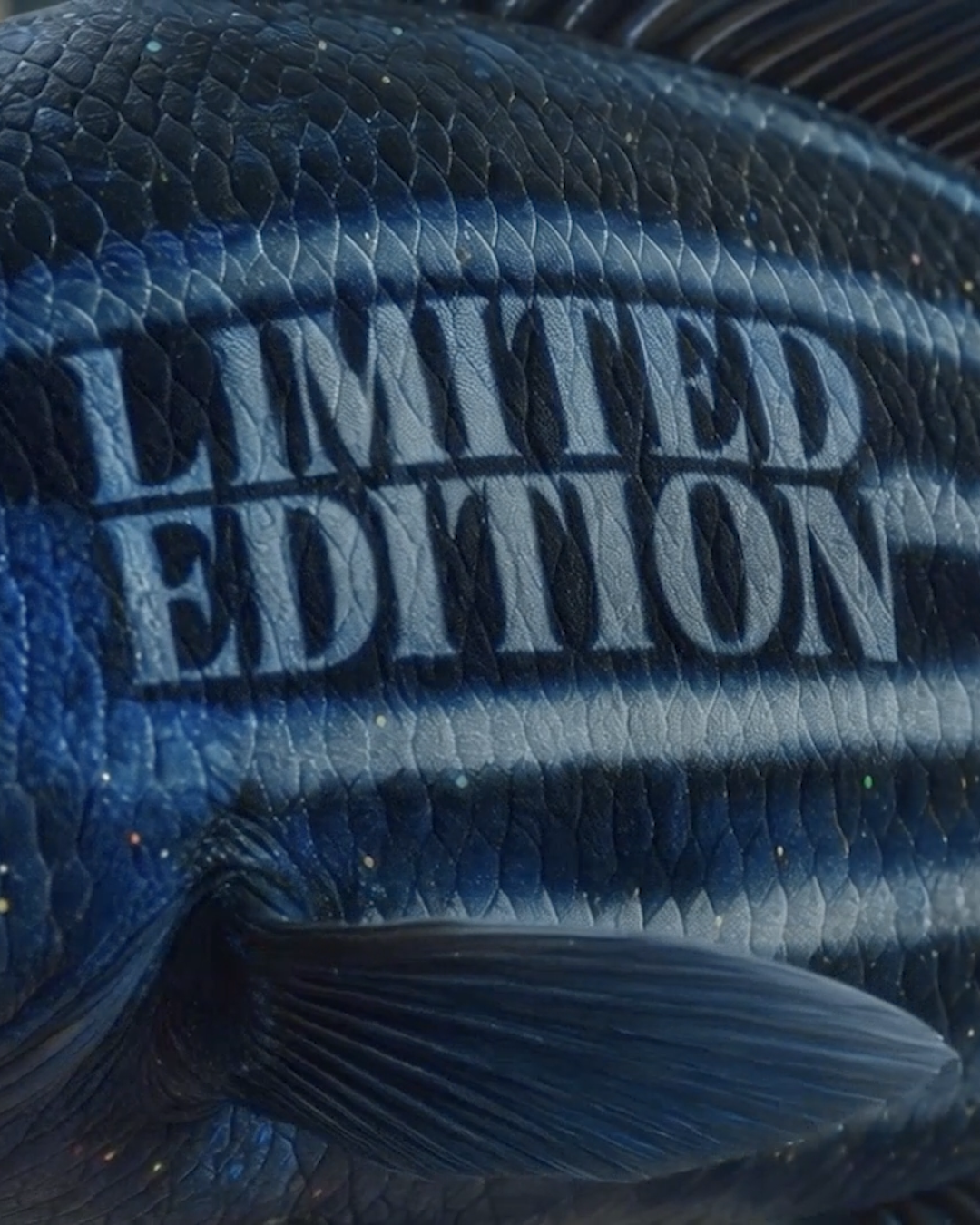 Prada — video 1 frame 8